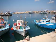 Paralimni harbour